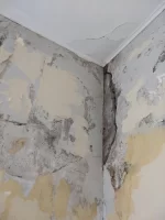 First wall problems