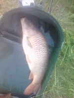 TPF Official Fishing Thread
