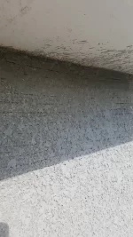 rendering advice please