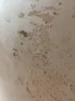 Plaster peeling when troweling up