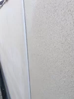 Parex Acrylic thin coat help