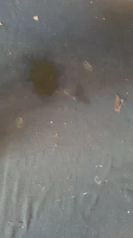 Carpets