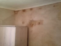 Patchy plaster