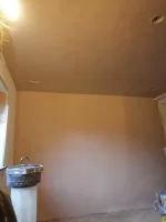 One  coat monkeys