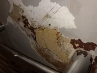 Basement Victorian Flat Damp Woes Basement Victorian Flat Damp Woes