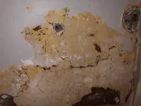 Basement Victorian Flat Damp Woes Basement Victorian Flat Damp Woes