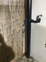 Should I be worried here? Lime render