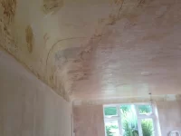 Reskim of curved ceilings.