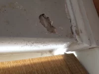 Flaking paint, crumbling plaster.... Flaking paint, crumbling plaster....