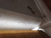 Flaking paint, crumbling plaster.... Flaking paint, crumbling plaster....