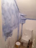 Newbie advice