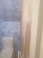 Newbie advice
