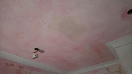 Anyone dye there primer