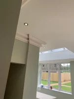 fibrous plasterers lets see your work today