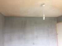 Wood wool