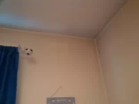 Mysterious dust