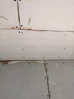 Full of s**t