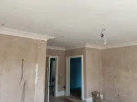 Plaster Cornice Installer team needed