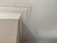 Plaster Cornice Installer team needed