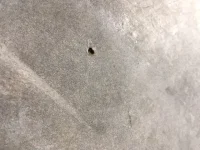 Brown staining turn to holes