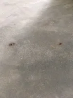 Brown staining turn to holes