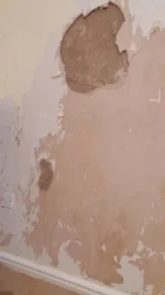 Blown plaster