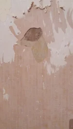 Blown plaster