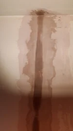 Person wanted for rendering job