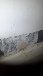 Person wanted for rendering job