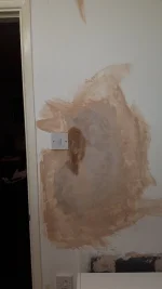 Person wanted for rendering job