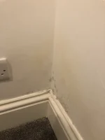 Is this the cause of my damp?