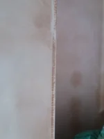 Stained skim beads