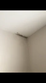 damp/condensation issues 1930s Bungalow ....HELP please