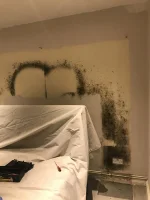 damp/condensation issues 1930s Bungalow ....HELP please