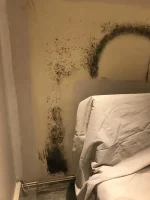 damp/condensation issues 1930s Bungalow ....HELP please