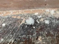 Small mould problem on newly plastered wall.