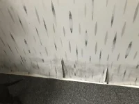 Damp or condensation