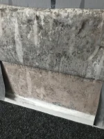 Damp or condensation