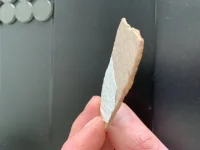 Artex or not - worried