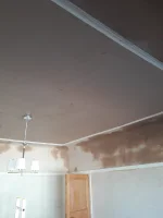 Curved  ceilings