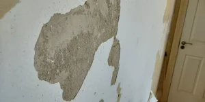 Some advice needed