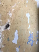 Looking for lime plasterer in Tameside
