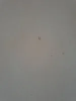 Which plastering job is better and why?