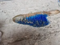 Cleaning brush