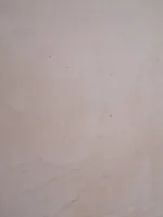 Bad Plaster Job Advice Please
