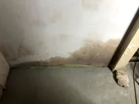 Damp area appeared after plaster previously dried on internal wall