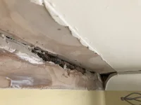 Plaster board and heating issue