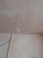 Hello to all, and i need advice