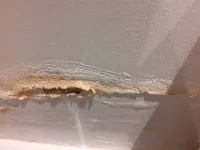 Hello all! Dry damp looking patches help needed!