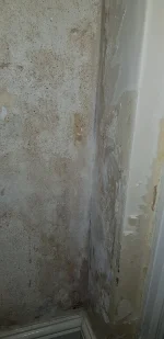 Help identifying plaster type and preparation